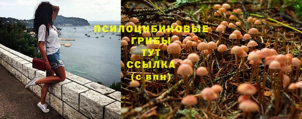 дживик Алексеевка