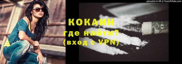 хмурый Алексин