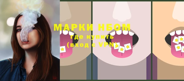 хмурый Алексин