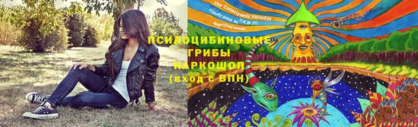 МДПВ Алзамай