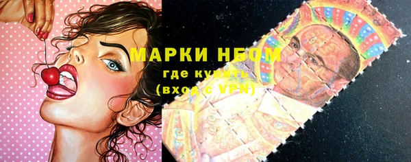 хмурый Алексин