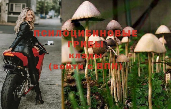 дживик Алексеевка