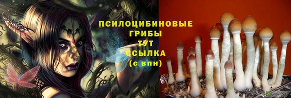 МДПВ Алзамай