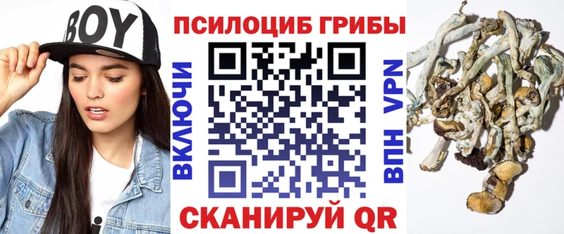 Галлюциногенные грибы ЛСД Боготол