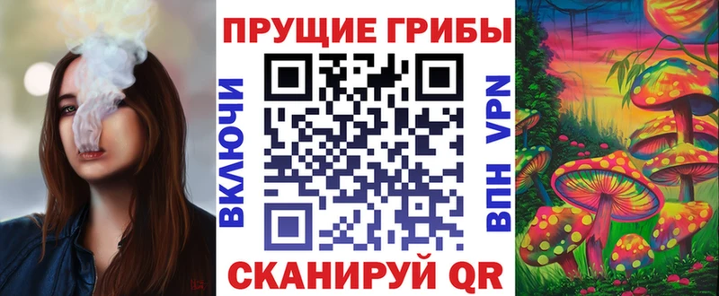 Псилоцибиновые грибы прущие грибы  Боготол 
