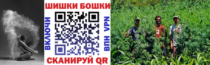 где можно купить   Боготол  Канабис семена 